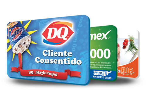 IDTEC Tarjetas de PVC